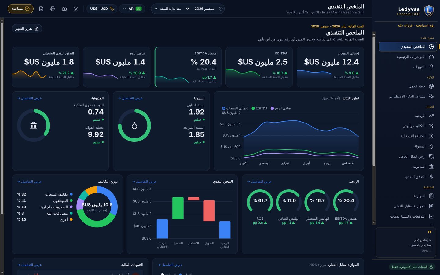 الملخص التنفيذي في Ledyvas Financial CFO مع المبيعات وEBITDA والهامش وصافي الربح والتدفق النقدي