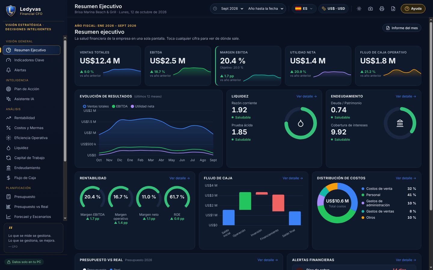 Resumen ejecutivo de Ledyvas Financial CFO con ventas, EBITDA, margen, utilidad neta y flujo de caja