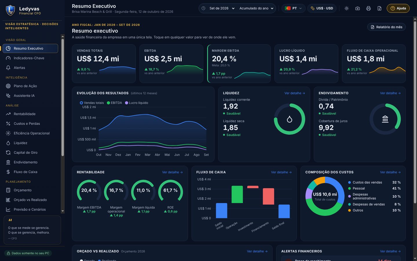 Resumo executivo do Ledyvas Financial CFO com vendas, EBITDA, margem, resultado líquido e fluxo de caixa